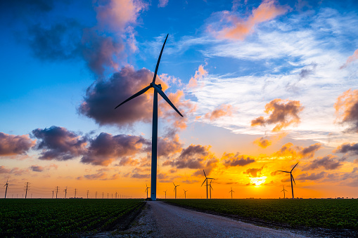 Taft , Texas , USA - Wind Farm amazing Sunset behind large Wind Turbines across Wheat Fields