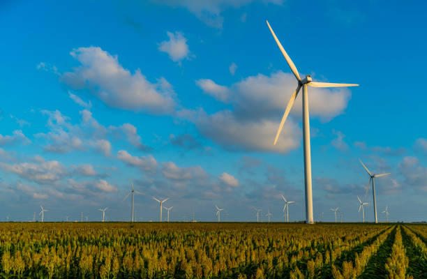 風力タービン発電機風力発電所で成長している作物の行 - windmill cultivated land crop day ストックフォトと画像