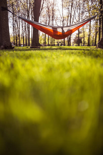 istock Kid in a public park playing in a hammock 961405022