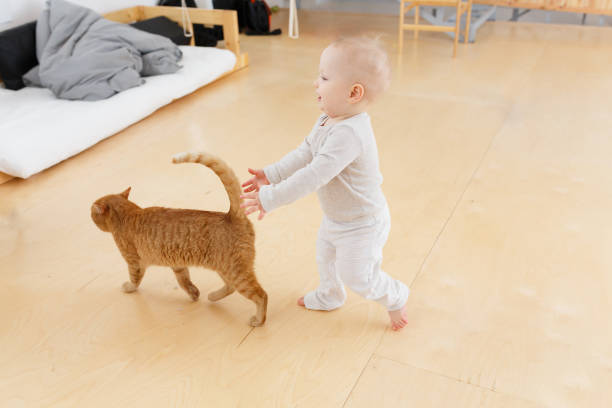 istock Happy family at home 961406348