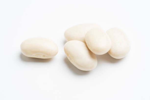 istock heap of white beans isolated on white background 961408640