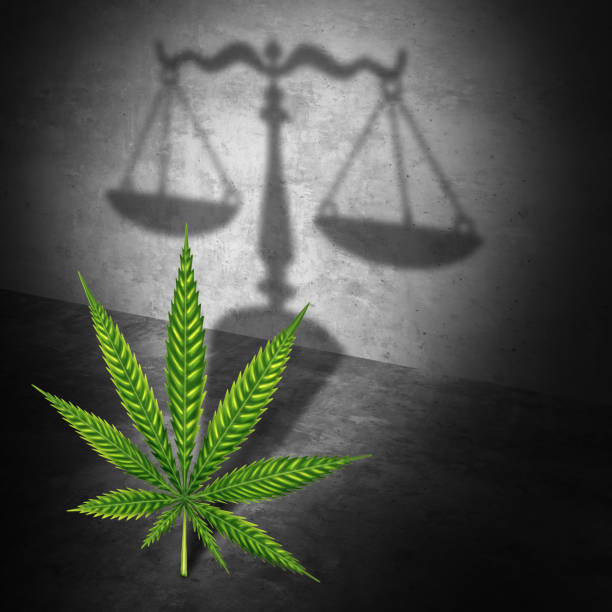 Legal Marijuana Concept Legal marijuana law concept as a cannabis leaf casting a shadow of a justice scale as a medicinal or recreational drug legalization social issue with 3D illustration elements. legalization stock pictures, royalty-free photos & images