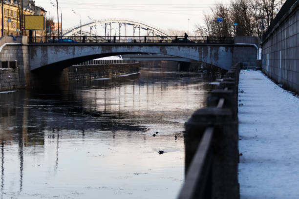 istock Predtechenskiy bridge, Sankt Peterburg 961419398