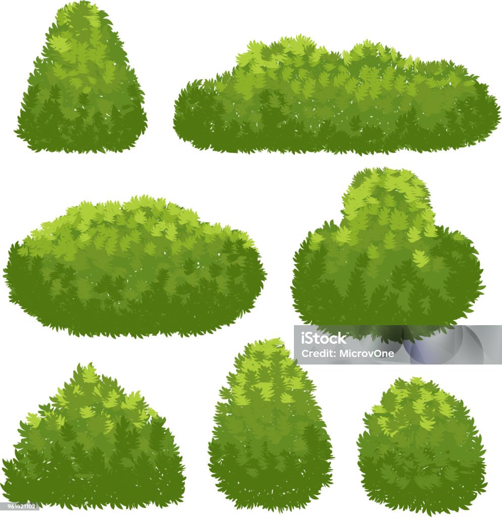 Nature hedge, garden green bushes. Cartoon shrub and bush vector set isolated on white background Nature hedge, garden green bushes. Cartoon shrub and bush vector set isolated on white background. Landscape plant environment, spring shrubbery for park illustration Bush stock vector