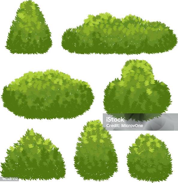 Nature Hedge Garden Green Bushes Cartoon Shrub And Bush Vector Set Isolated On White Background Stock Illustration - Download Image Now