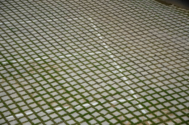 A close-up view of textured cobblestone pavement with green moss growing between the stones. The image highlights natural patterns, weathered stone surfaces, and urban outdoor details.
