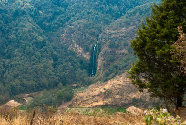 Waterfall and sown in the mountains, Guatemala, central america.