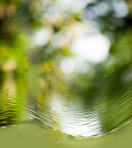 istock Abstract  image of water close-up 961428560