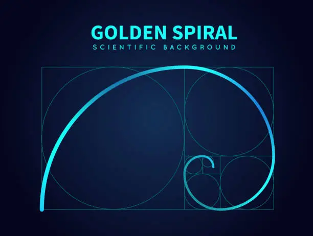 Vector illustration of Mathematics formula of fibonacci spiral. Golden ratio section rule. Vector abstract background