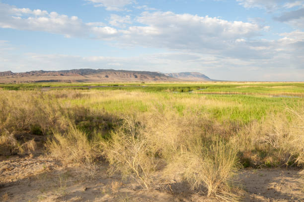 istock steppe summer. Turgai save. Lake in the desert 961433680