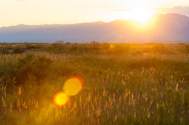 istock steppe summer. Turgai save. Lake in the desert 961434096