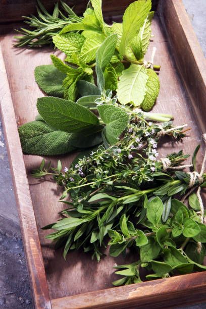 istock bunch of garden fresh herbs on grey board. 961442304