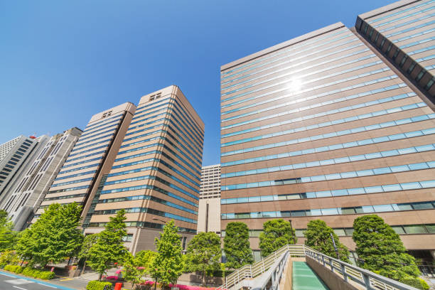 istock Fresh green and buildings in Tokyo 961445964