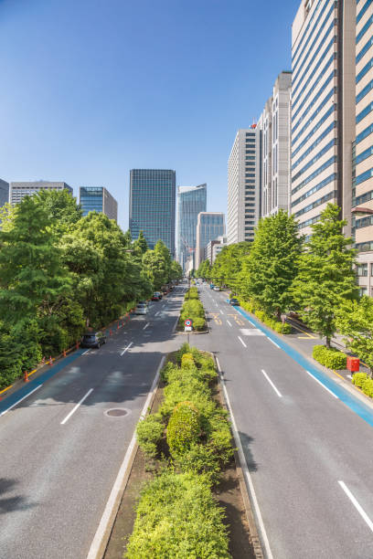 istock Fresh green and buildings in Tokyo 961446398
