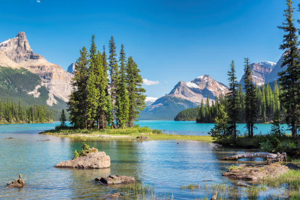 isola spirit nel jasper national park - lago maligne foto e immagini stock