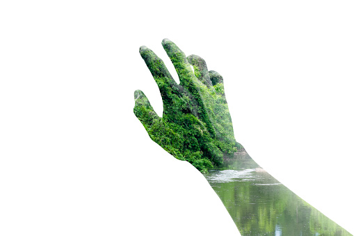 Double exposure reaching hand and forest
