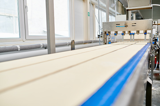 Dough rows on conveyor in bread factory