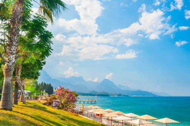 piękna plaża z zielonymi drzewami w kemer, turcja. - vibrant color mountain bay beach zdjęcia i obrazy z banku zdjęć