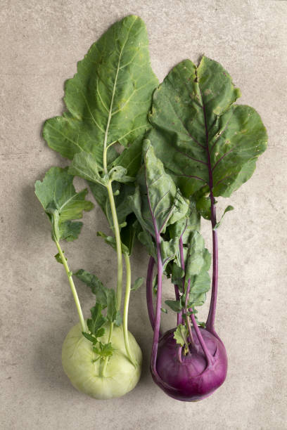 rábano roxo e verde fresco - kohlrabi turnip kohlrabies cabbage - fotografias e filmes do acervo