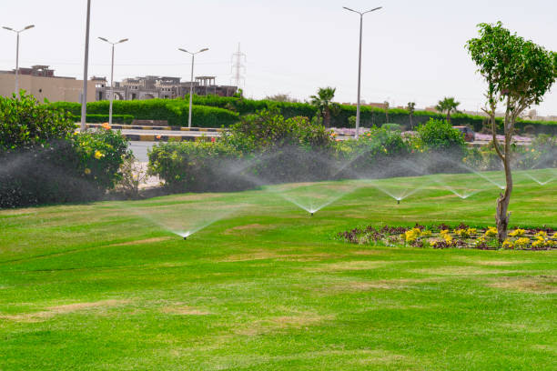 istock Garden irrigation system watering lawn 961481932