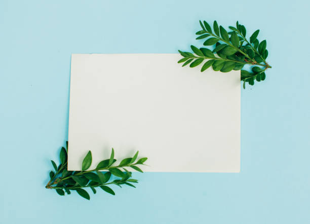 istock Desktop mock-up with blank paper card, branch on white shabby table background. Empty space. Styled stock photo, web banner. Flat lay 961483972