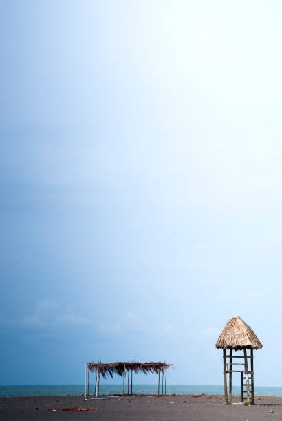 Closeup abstract view of restaurant straw tiki bar roof building palm trees in Hollywood beach broadwalk and nobody