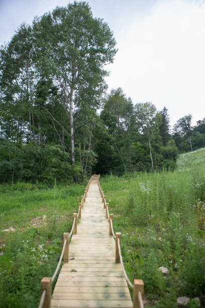 istock Plank road of mountain forest 961490758