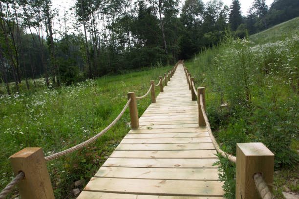 istock Plank road of mountain forest 961493464