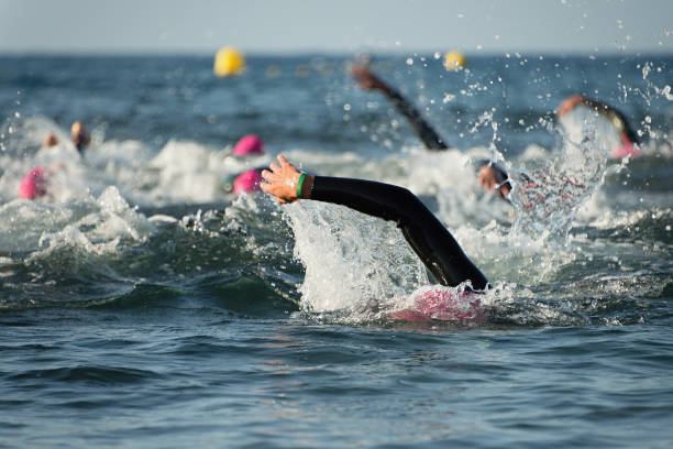 istock Group people in wetsuit swimming 961493990
