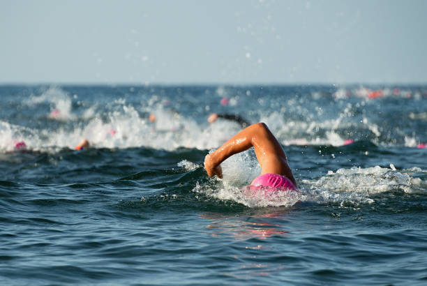 Group people in wetsuit swimming