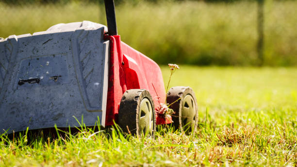 istock Gardening. Mowing lawn with lawnmower 961504234