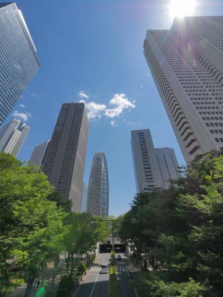 istock Skyscraper group in Shinjuku, Tokyo 961506408