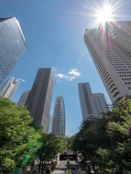 istock Skyscraper group in Shinjuku, Tokyo 961506410