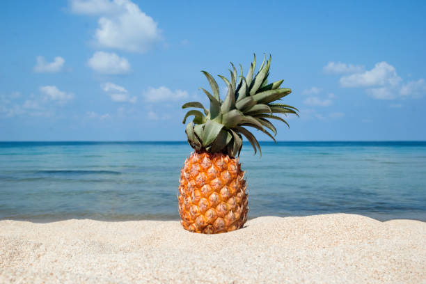 Pineapple on the white sand beach on the background of blue sea and sky on a sunny day, with copy space.