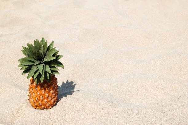 Ripe sweet pineapple on the white sand beach on a sunny day, with copy space.
