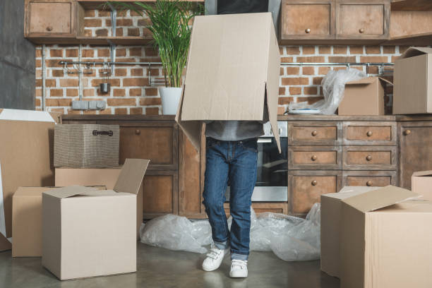 istock cute little boy playing with cardboard box 961523610