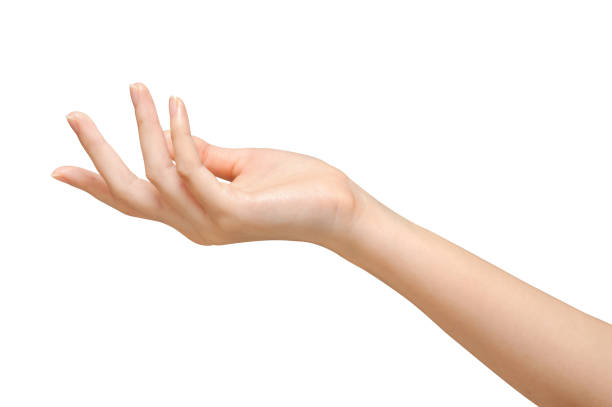 istock Beautiful woman's hands on the white background 961524568