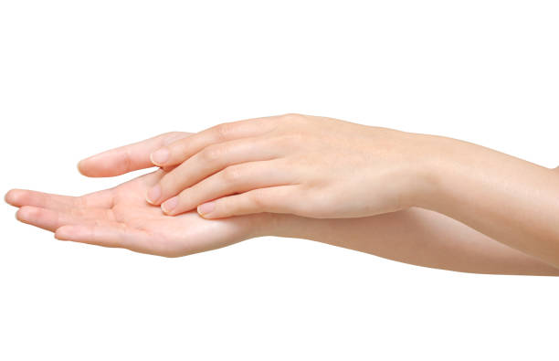 istock Beautiful woman's hands on the white background 961524952
