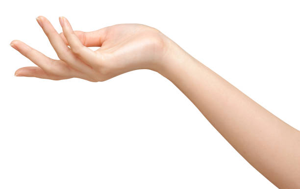istock Beautiful woman's hands on the white background 961525314