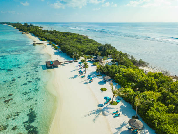 vista aérea de canareef resort maldivas, herathera island, atolón addu - travel luxury aerial view beach fotografías e imágenes de stock