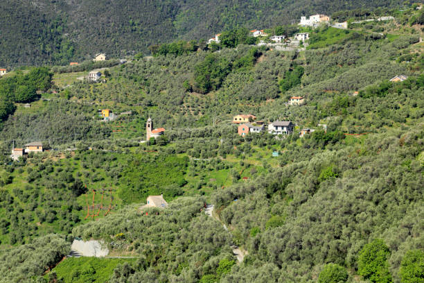 istock Countryside in Cinque Terre 961528520