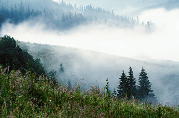 istock Foggy morning landscape 961529330