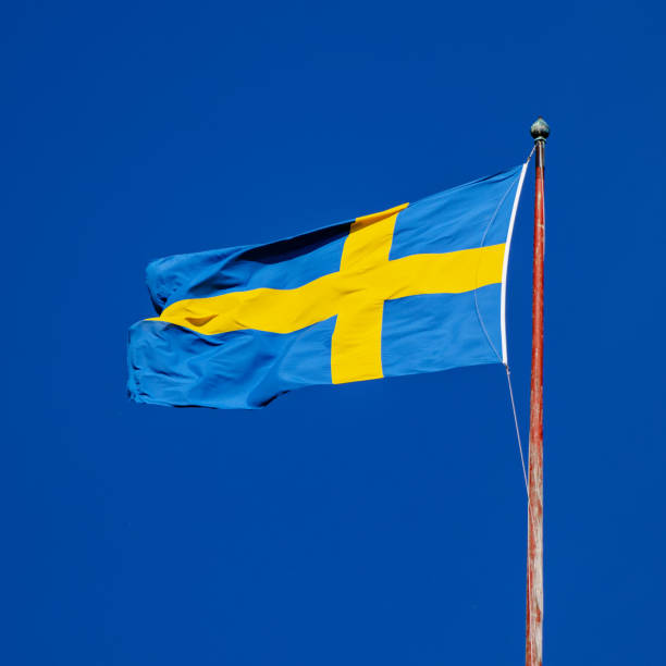 istock Flag of Sweden 961529828