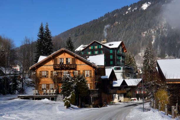 istock Winter Alpine landscape in the countryside 961536702