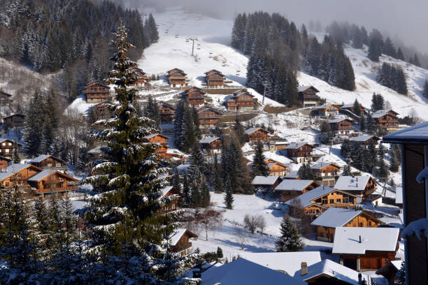 istock Winter Alpine landscape in the countryside 961538900