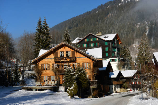 istock Winter Alpine landscape in the countryside 961539014