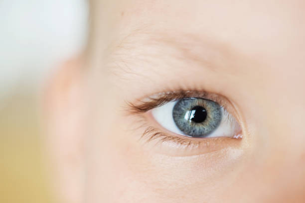 istock Closeup of beautiful boy eye 961543976