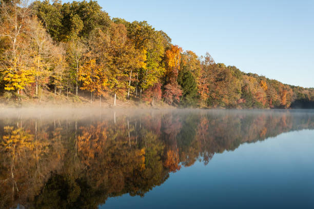istock Morning Fog 961545158