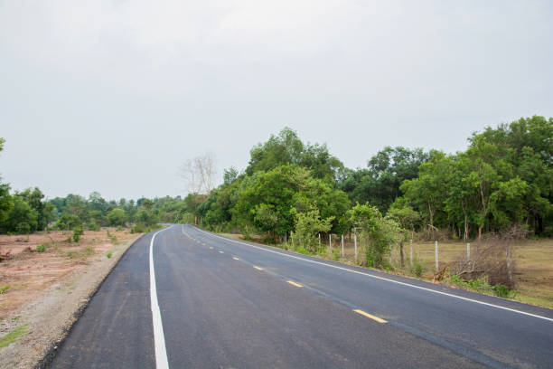 istock Country road running through tree alley. 961545188