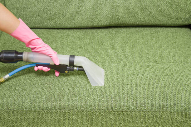 istock Dry cleaner's employee hand cleaning a green sofa with professionally extraction method. Textile upholstered furniture. Early spring regular cleanup. Commercial cleaning company. Service concept. 961553336